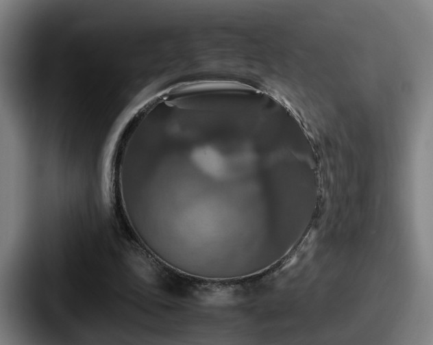 X0000087710343200705111425