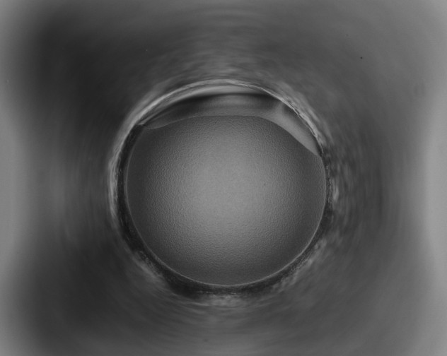 X0000087710344200705111425