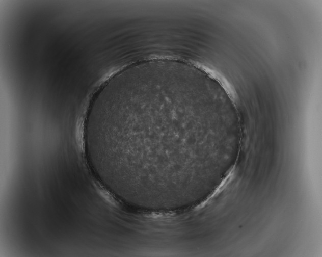 X0000087710345200705111425