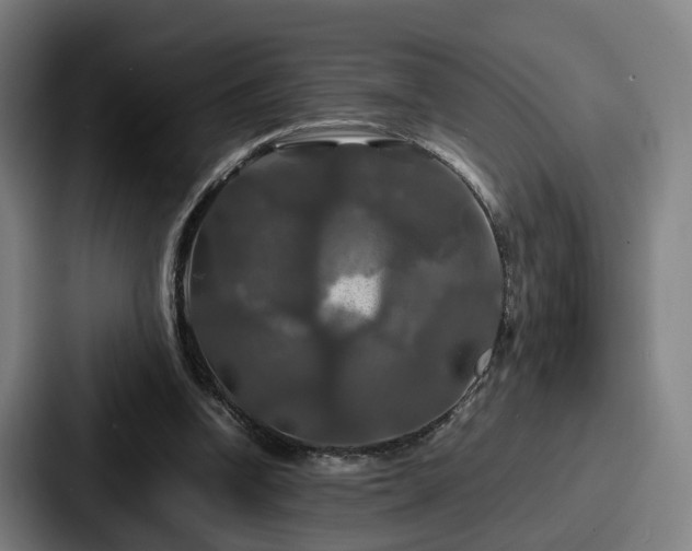 X0000087710346200705111425
