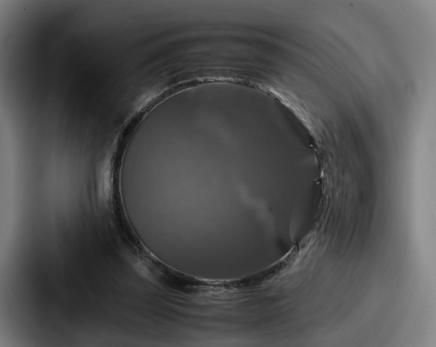 X0000087710347200705111425