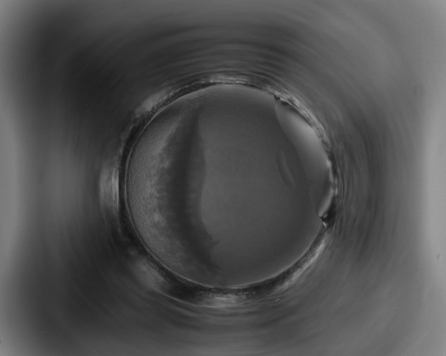 X0000087710349200705111425