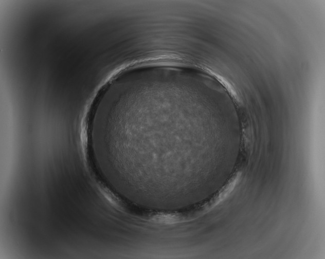 X0000087710350200705111425