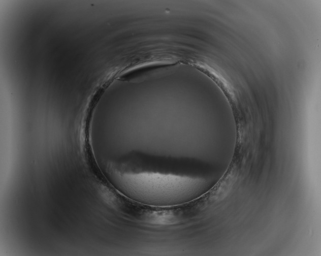 X0000087710353200705111425
