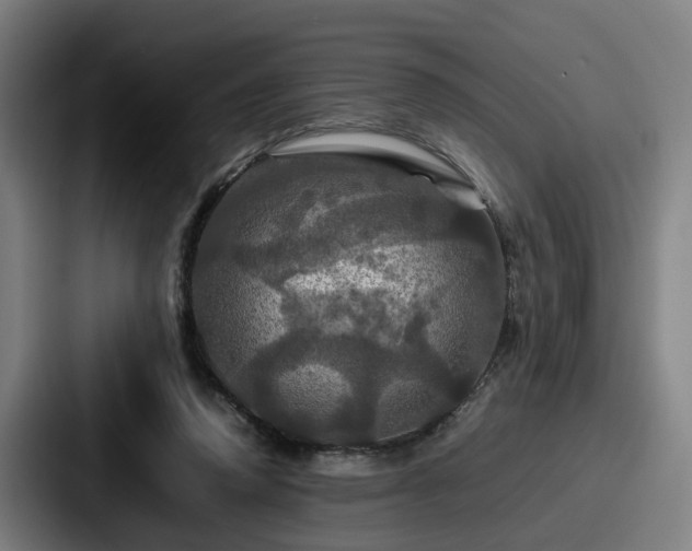 X0000087710354200705111425
