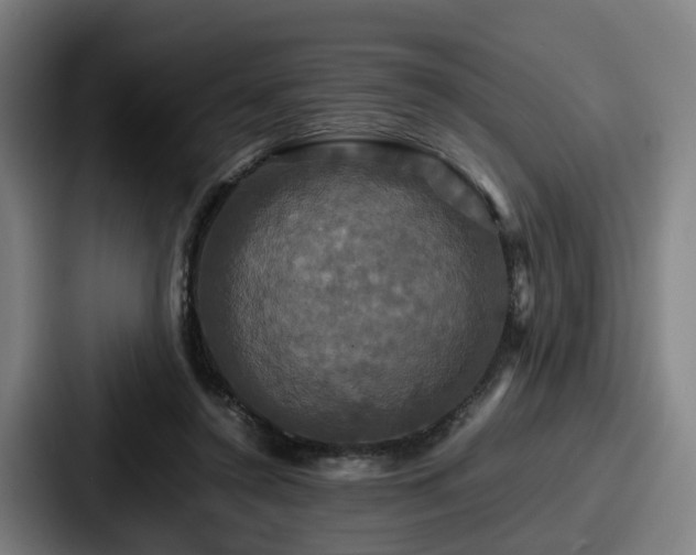 X0000087710356200705111425