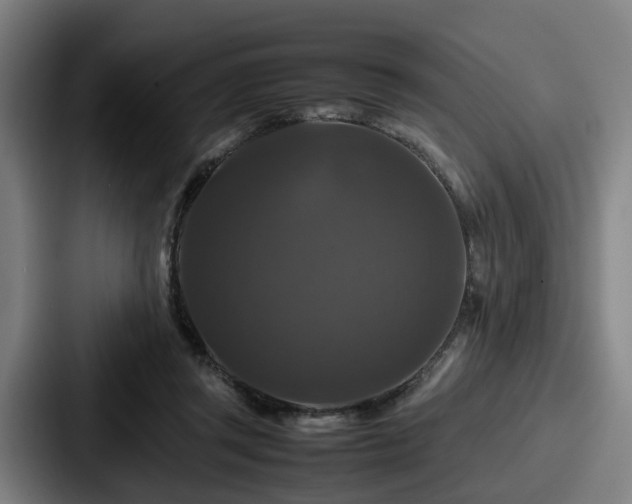 X0000087710357200705111425