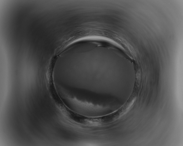 X0000087710359200705111425