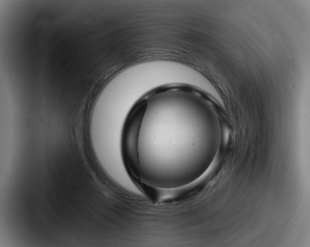 X0000087710360200705111425