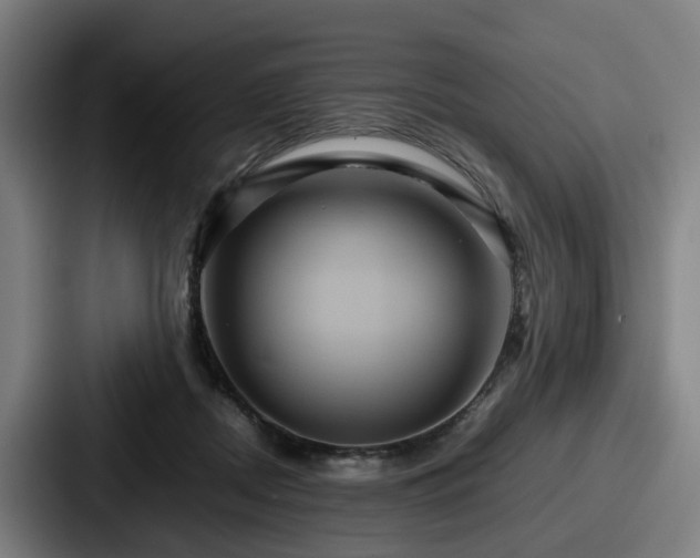 X0000087710362200705111425