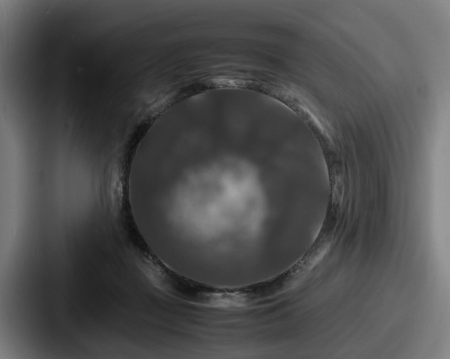X0000087710363200705111425