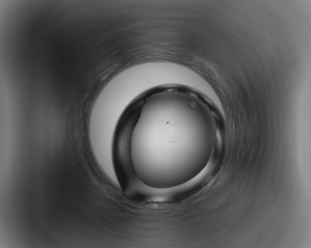 X0000087710364200705111425