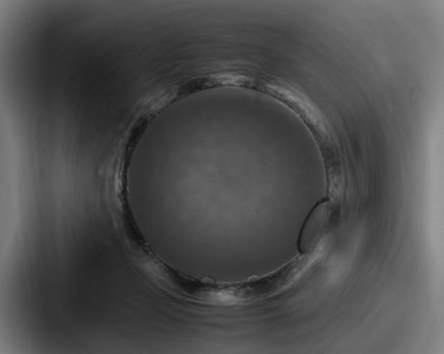 X0000087710365200705111425