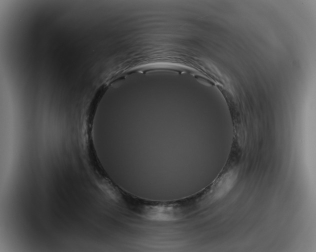 X0000087710366200705111425