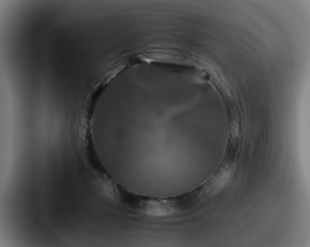 X0000087710367200705111425