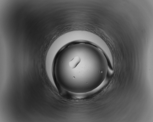 X0000087710368200705111425