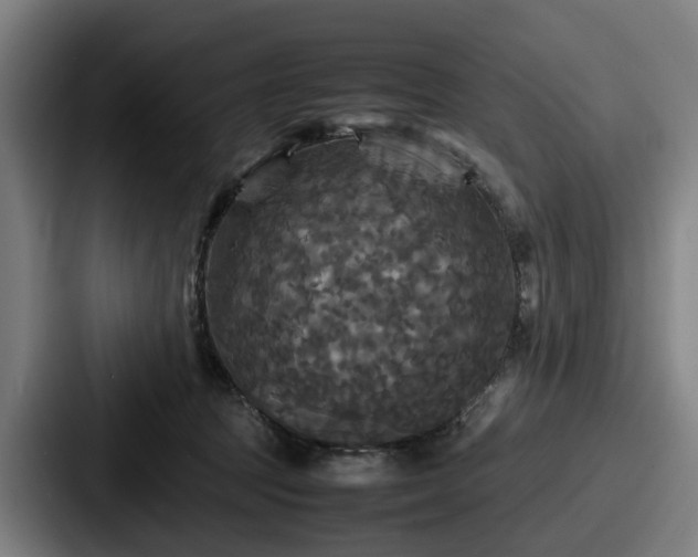 X0000087710369200705111425