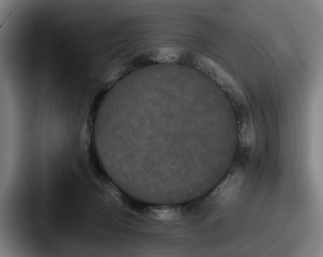 X0000087710370200705111425