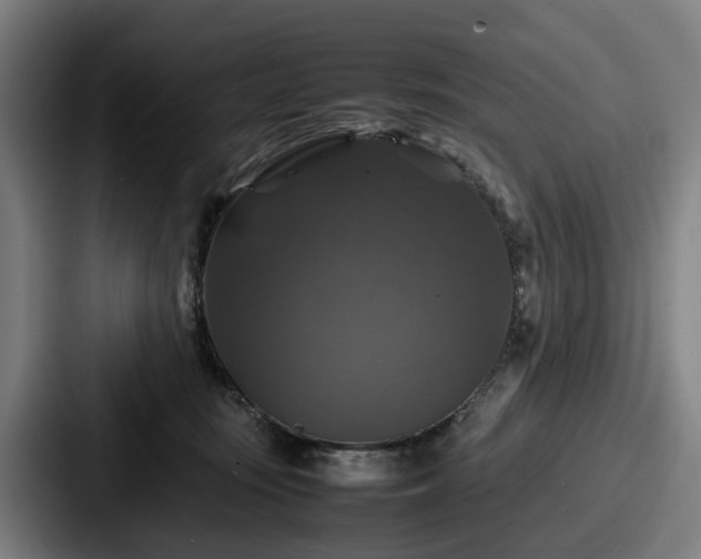 X0000087710371200705111425