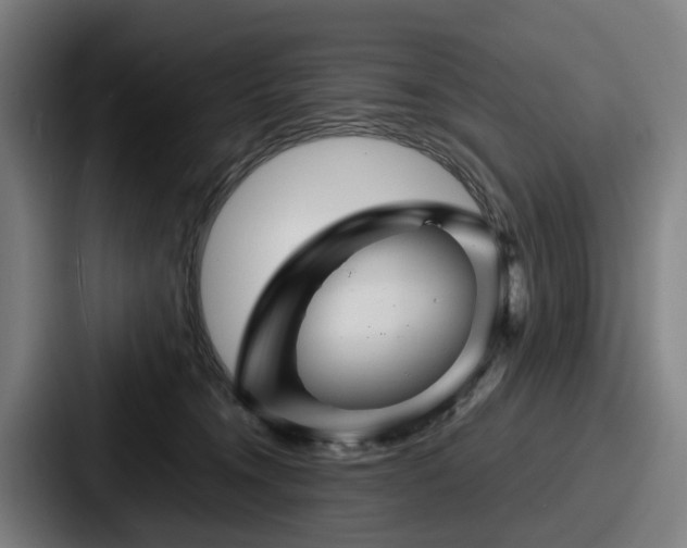 X0000087710372200705111425