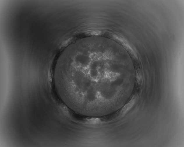 X0000087710374200705111425