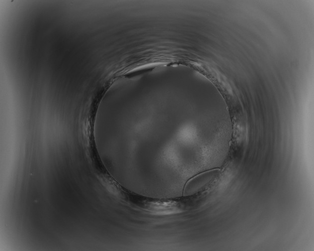 X0000087710375200705111425