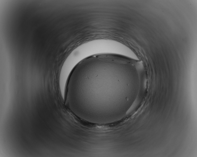 X0000087710376200705111425