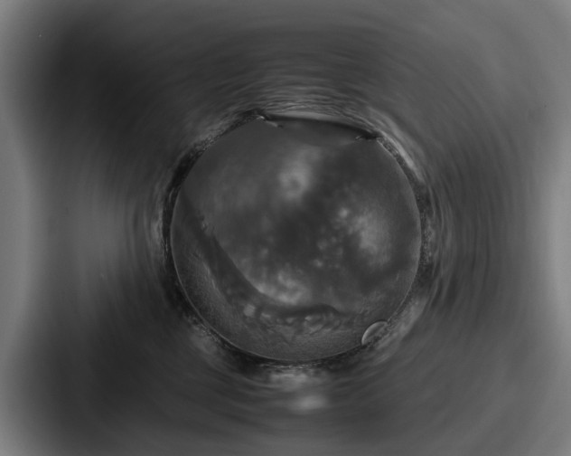 X0000087710377200705111425