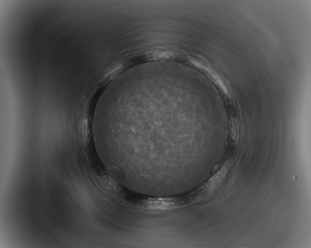 X0000087710378200705111425