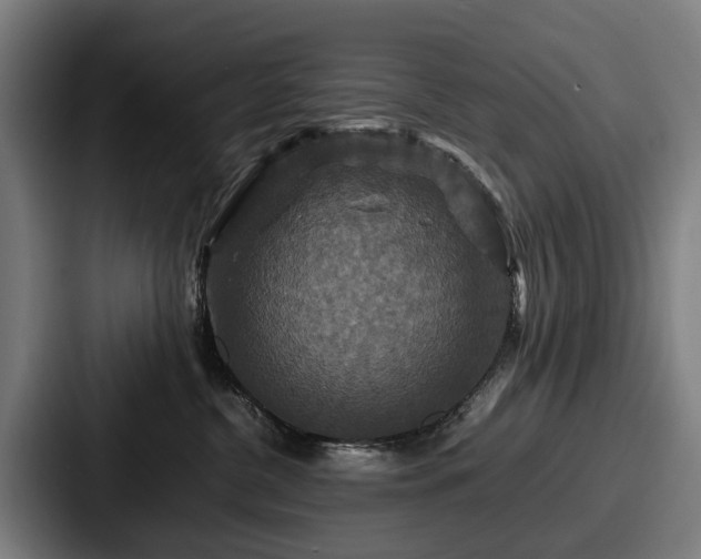 X0000087710380200705111425