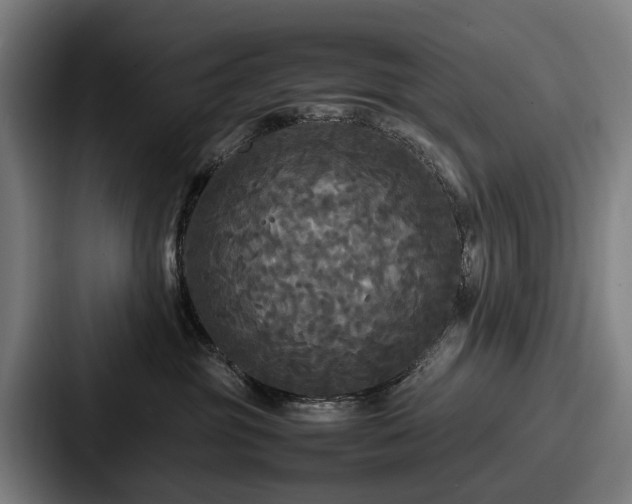 X0000087710381200705111425