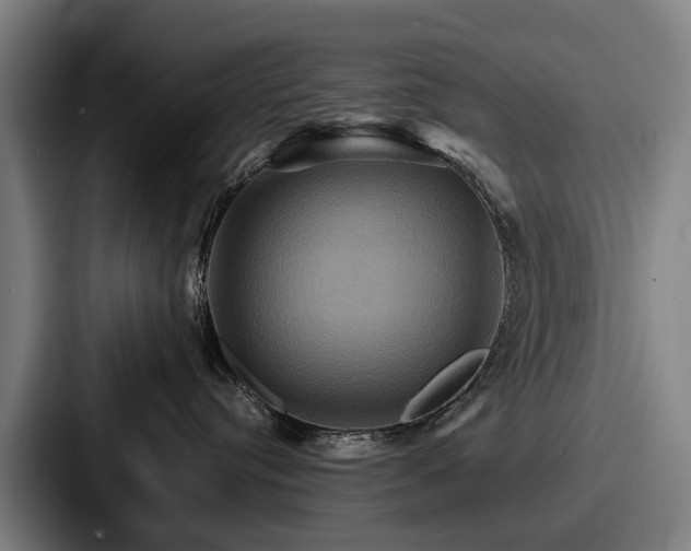 X0000087710384200705111426