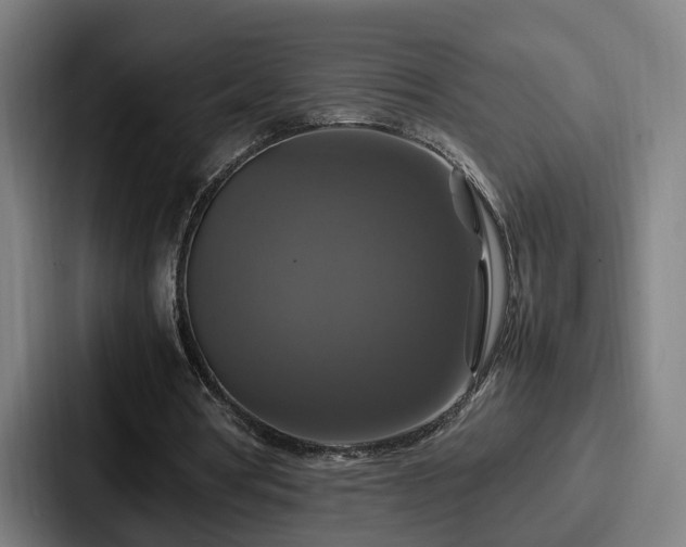 X0000087710386200705111425