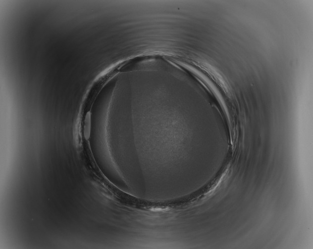X0000087710388200705111425