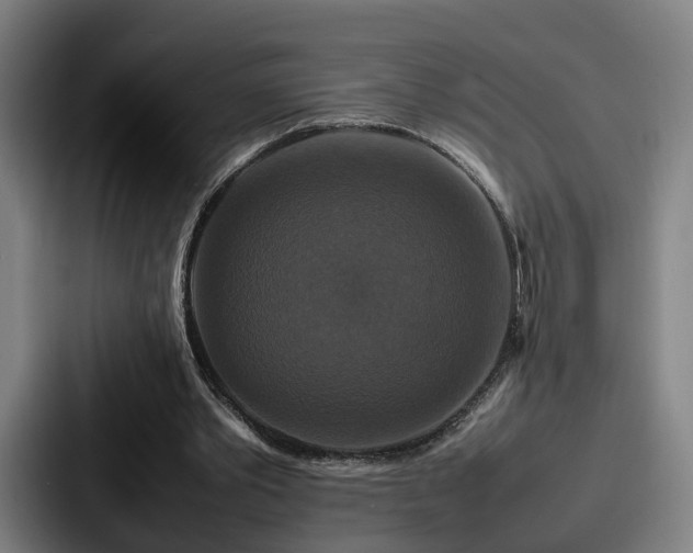 X0000087710389200705111425