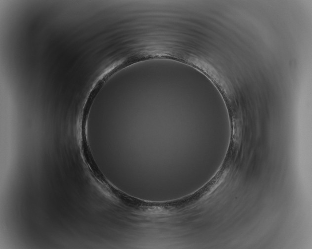 X0000087710390200705111425