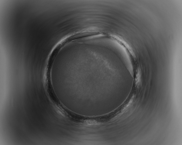 X0000087710392200705111425