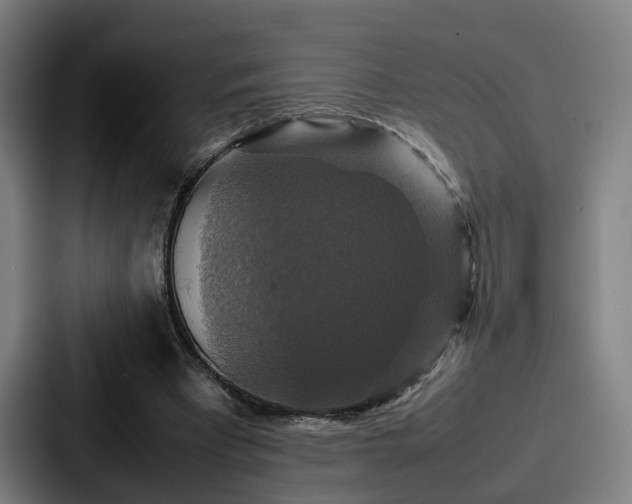 X0000087710393200705111425