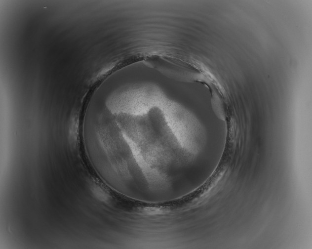 X0000087710394200705111425