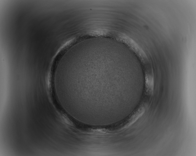 X0000087710396200705111425