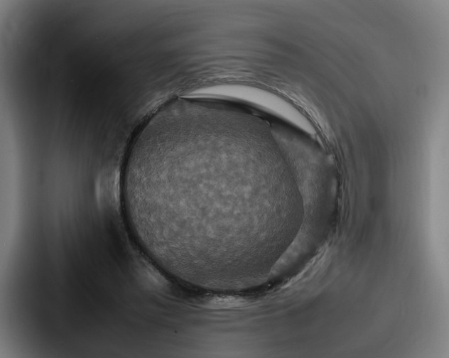 X0000087710397200705111425