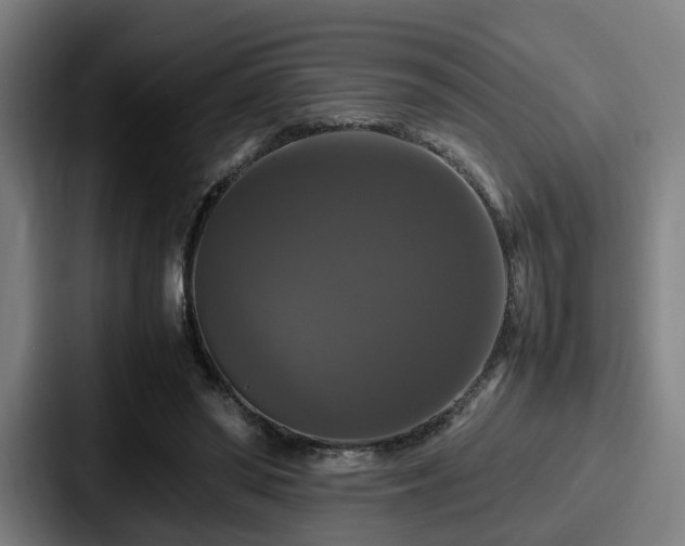 X0000087710398200705111425
