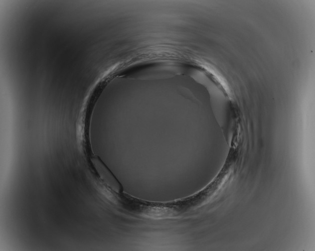 X0000087710399200705111425