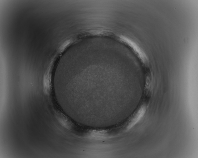 X0000087710403200705111425
