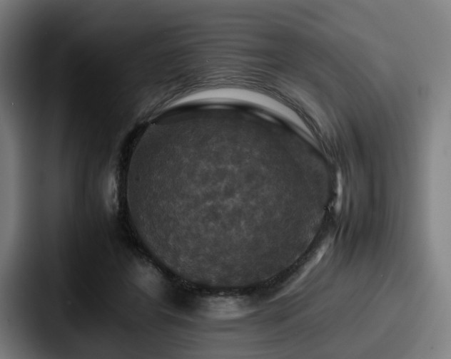 X0000087710404200705111425
