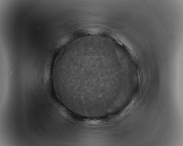 X0000087710407200705111425