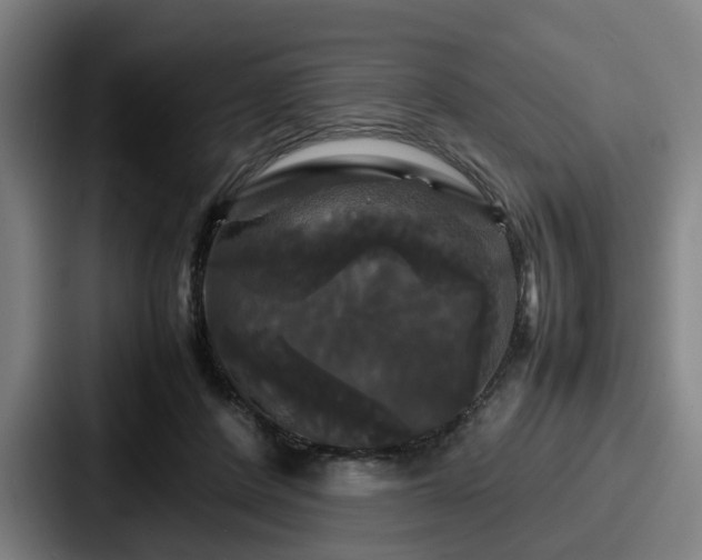 X0000087710408200705111425