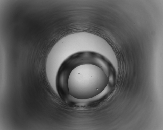 X0000087710412200705111425