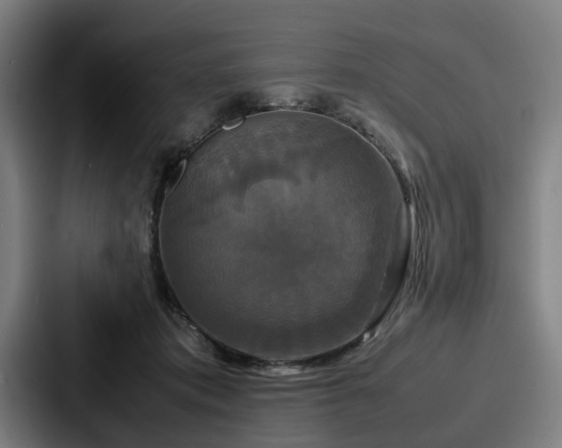 X0000087710413200705111425