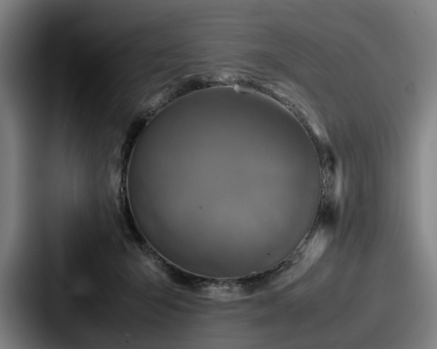 X0000087710415200705111425
